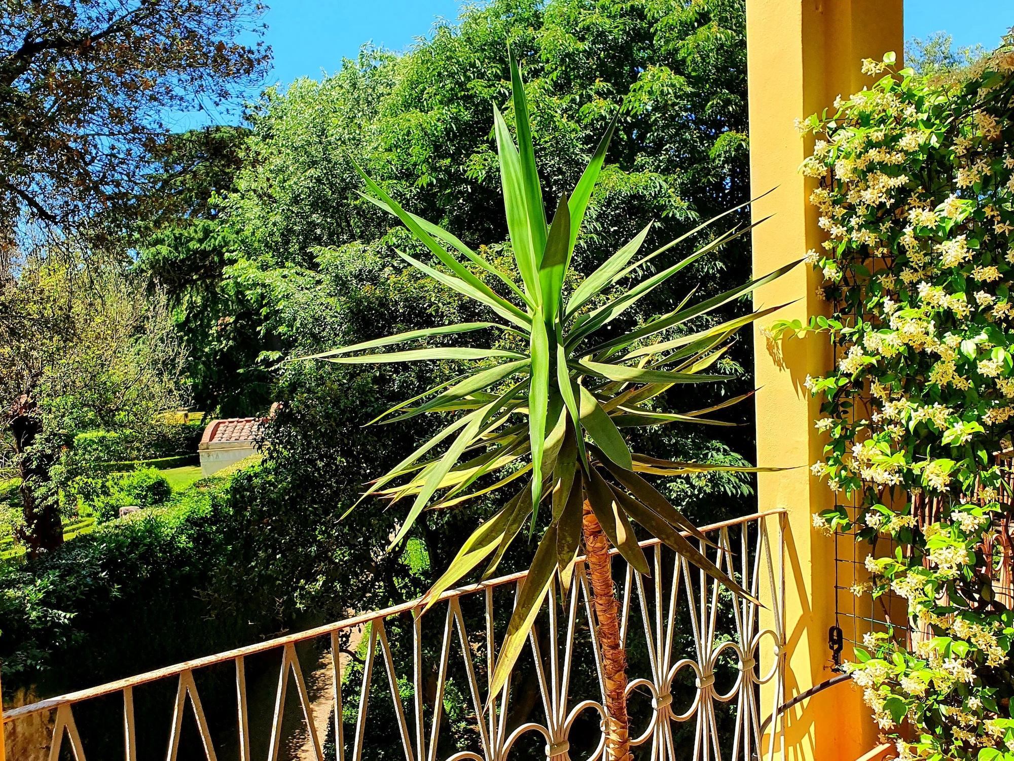 Hotel Annalena Florença Exterior foto